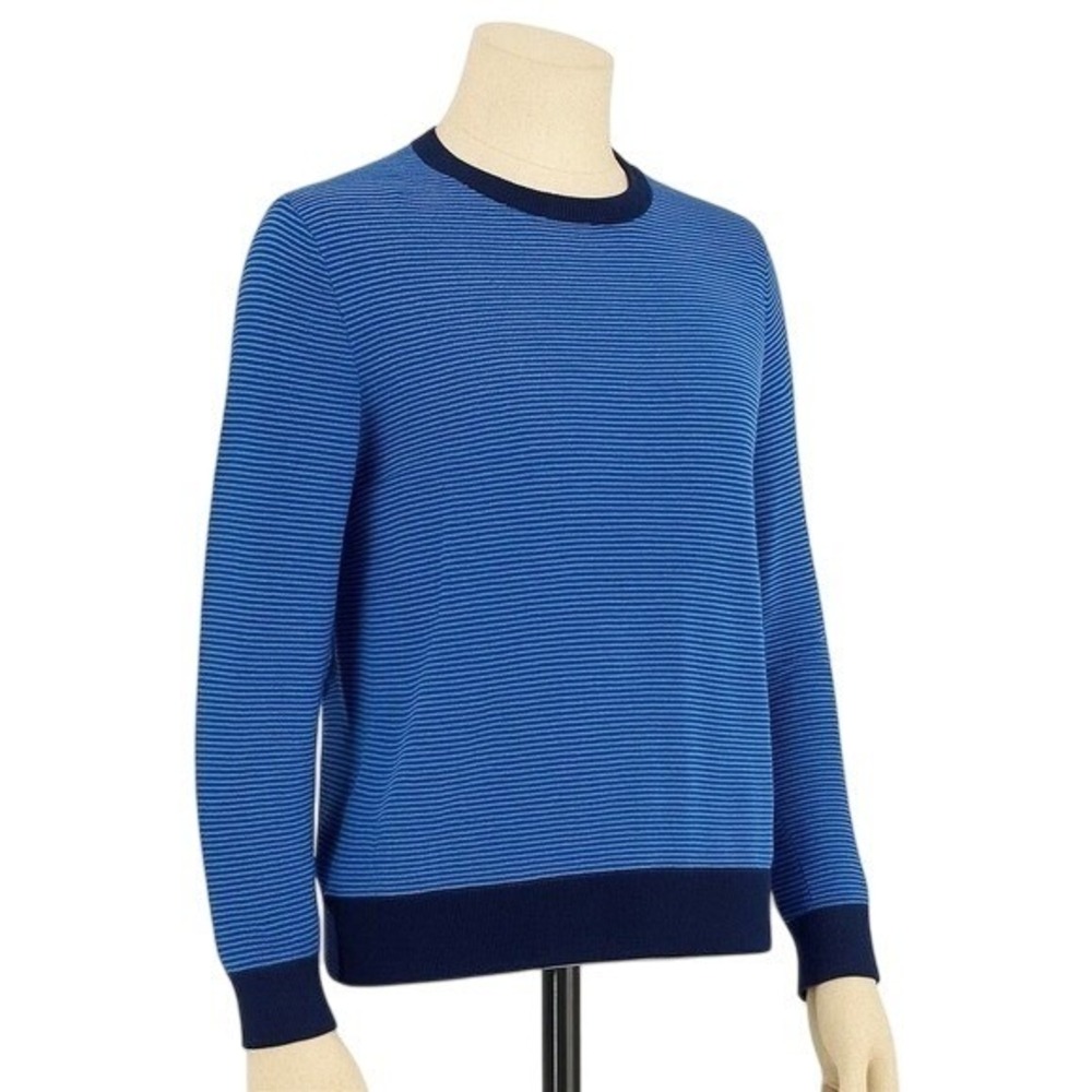 Banana Republic Sweater Mens L Blue Striped Crewneck Long Sleeve Casual